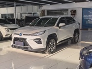 Toyota Wildlander 2020