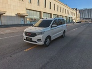 Wuling Hongguang 2024