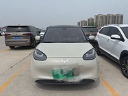 Wuling Bingo 2024