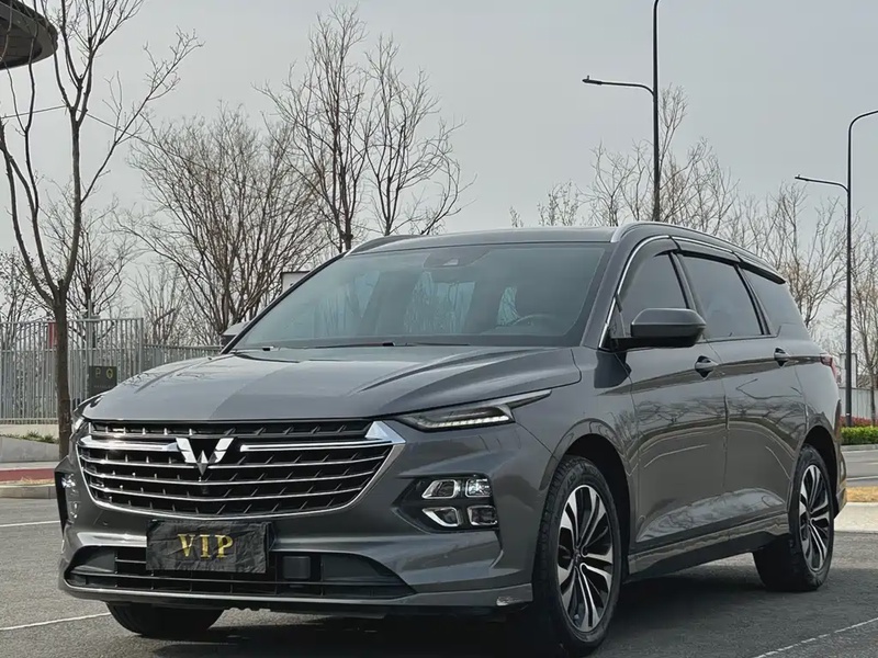 Wuling Victory