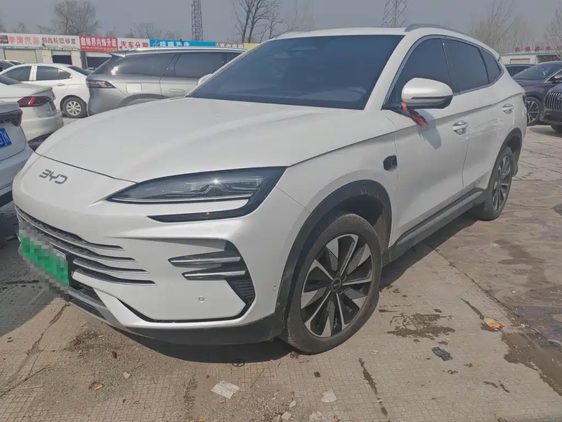 BYD PLUS