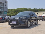 Toyota Wildlander 2022