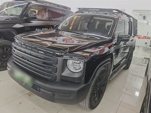 Haval Menglong 2025