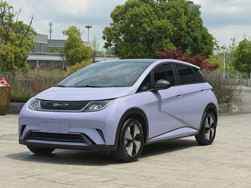 BYD Dolphin 2024