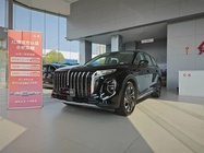 Hongqi HS7 2024
