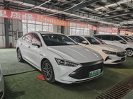 BYD Qin PLUS 2021