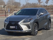 Lexus NX 2020
