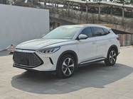 BYD PLUS 2021