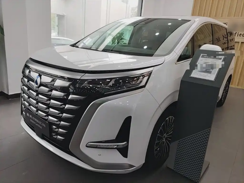 Denza D9
