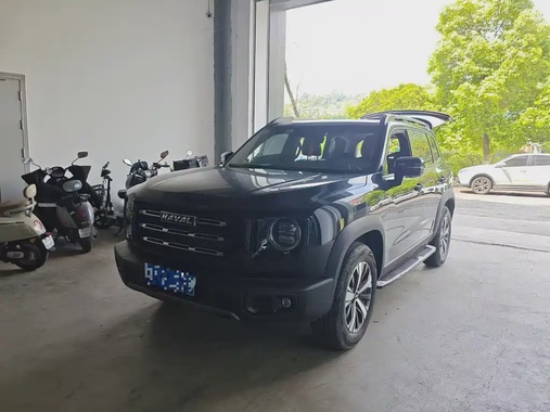 Haval Big Dog 2021