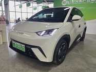 BYD Seagull 2023