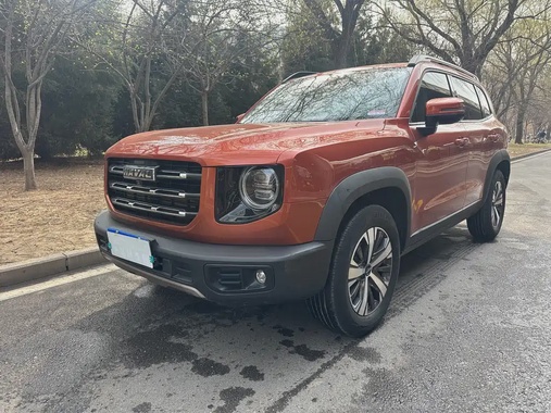 Haval Big Dog 2021