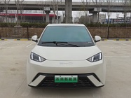 BYD Seagull 2024