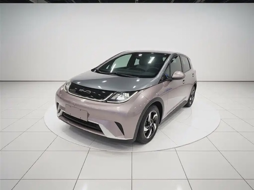 BYD Dolphin 2022
