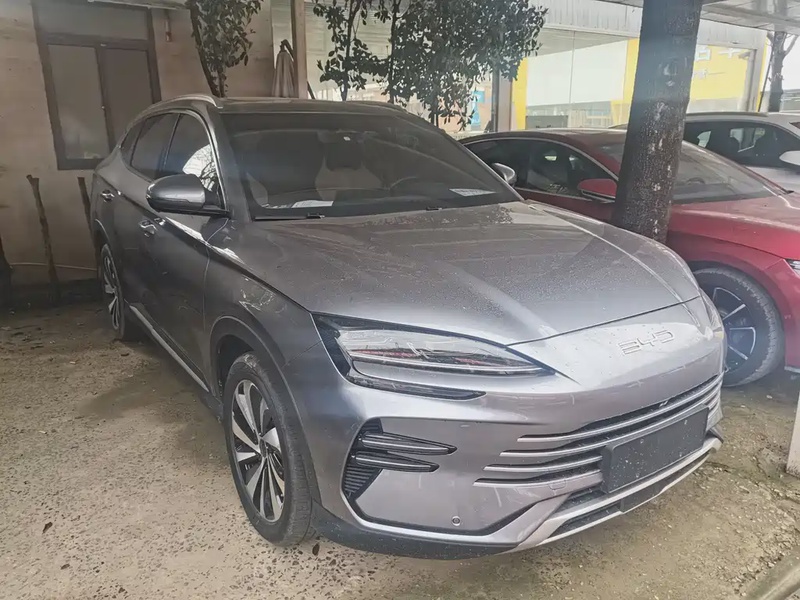 BYD PLUS