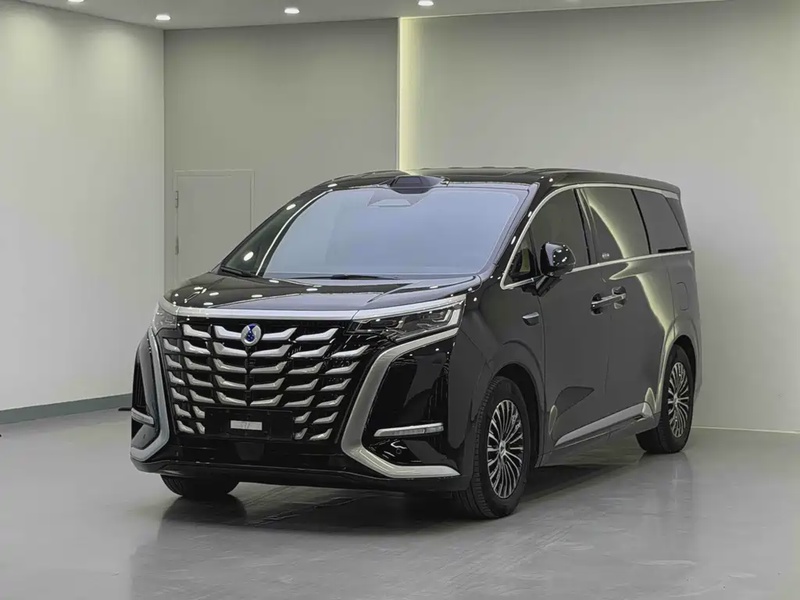 Denza D9