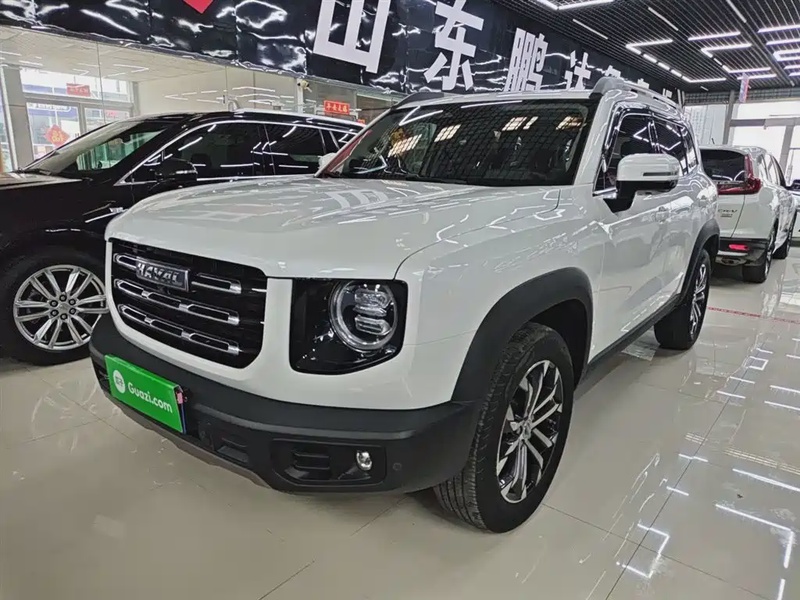 Haval Big Dog