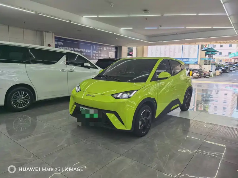 BYD Seagull