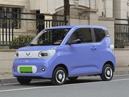 Wuling Mini 2025