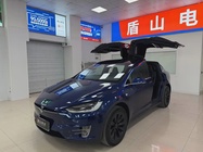 Tesla Model X 2019