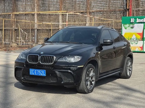 BMW X6 2010
