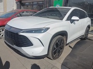 BYD L 2024
