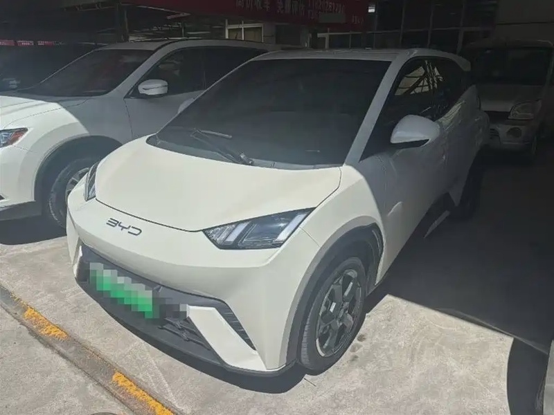 BYD Seagull
