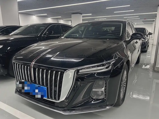 Hongqi H5 2024