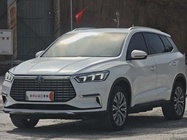 BYD Pro 2021