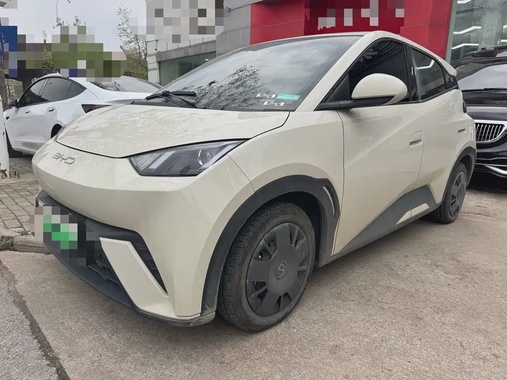 BYD Seagull 2024