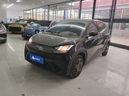 BYD Seagull 2024