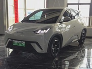 BYD Seagull 2024