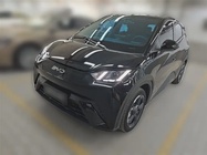 BYD Seagull 2024