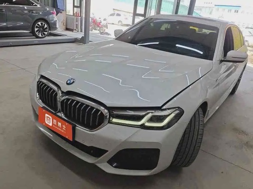 BMW 5 Series 2021