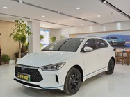 BYD e2 2020