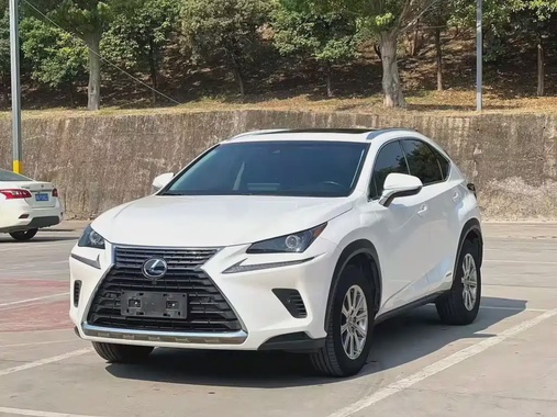 Lexus NX 2020