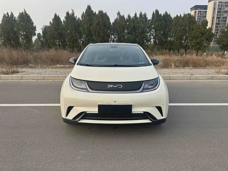 BYD Dolphin