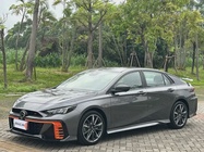 GAC Shadow Leopard 2024