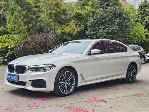 BMW 5 Series 2021