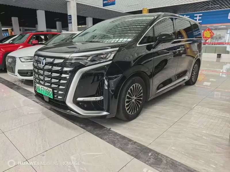 Denza D9