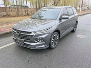 Wuling Victory 2021