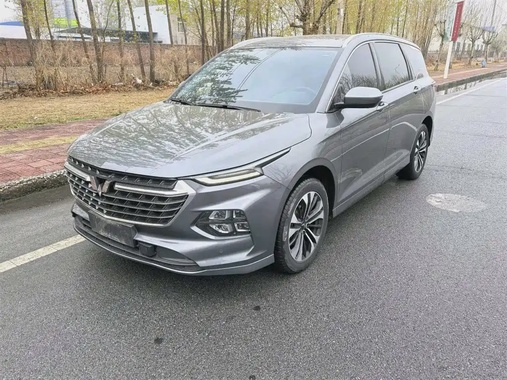 Wuling Victory 2021