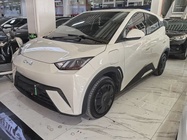 BYD Seagull 2024