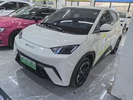 BYD Seagull 2024