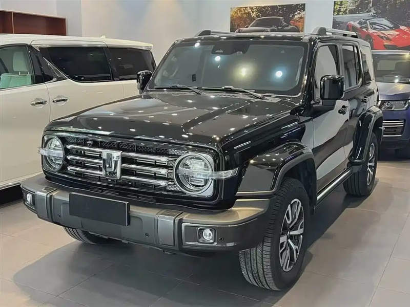 Tank 300