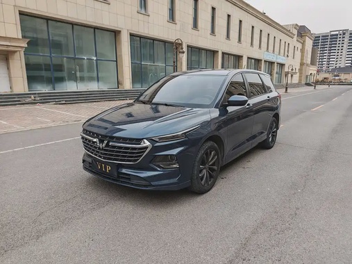Wuling Victory 2021