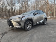 Lexus NX 2021