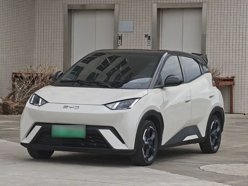 BYD Seagull