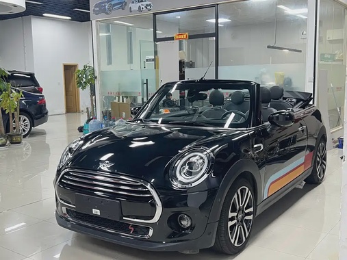 MINI Other 2019