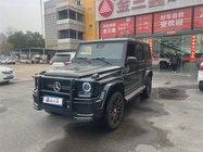 Mercedes-Benz G-Class 2009
